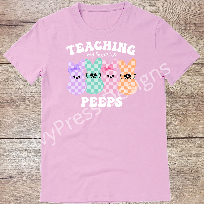 Chicks Teaching Peeps