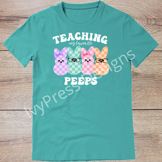 Chicks Teaching Peeps