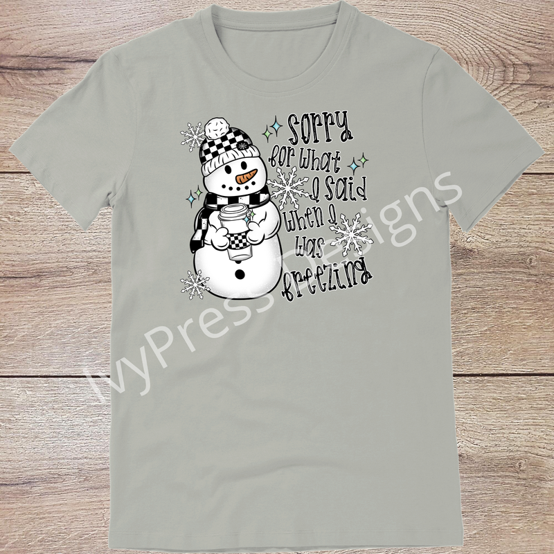 Snowman Sorry for What I said
