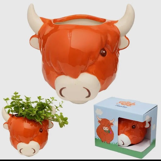 Highland Cow Wall Planter